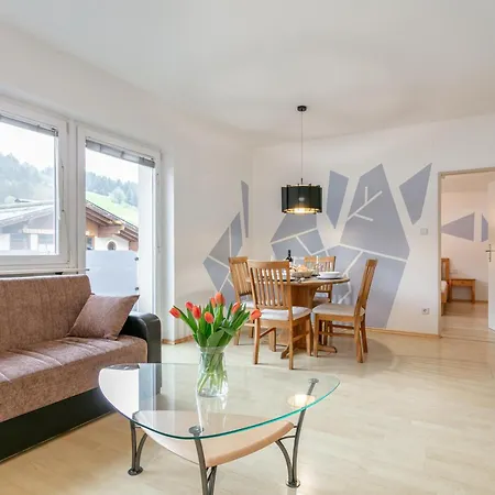 Appartement Fritz Hopfgarten im Brixental